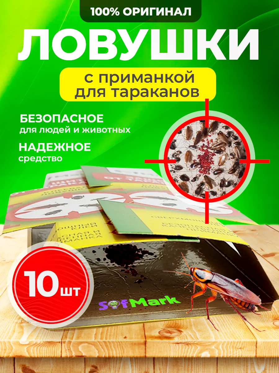 Spa ProBrush