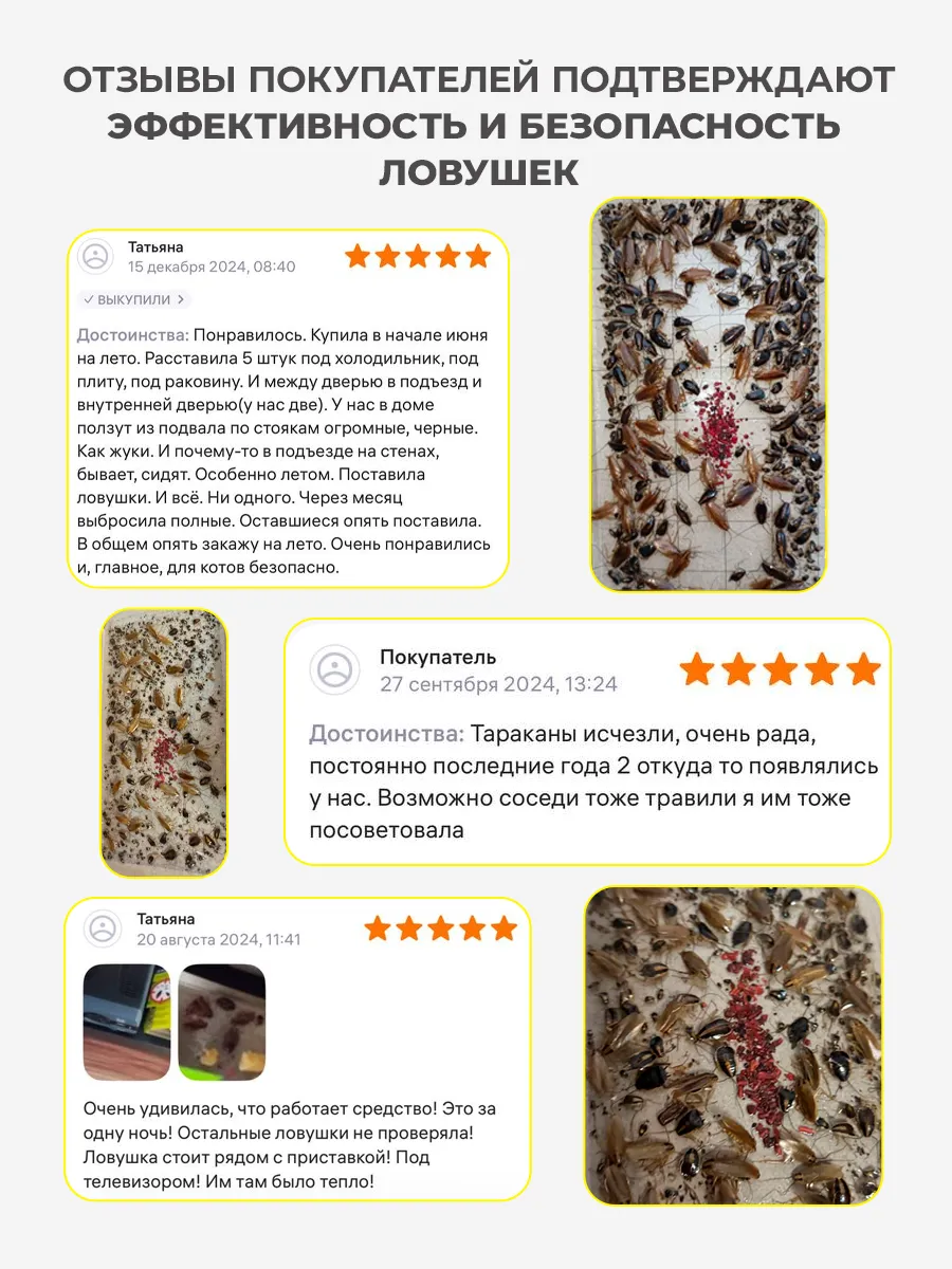 Spa ProBrush